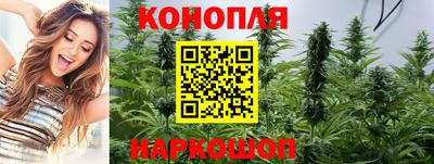 мдпв Ачхой-Мартан