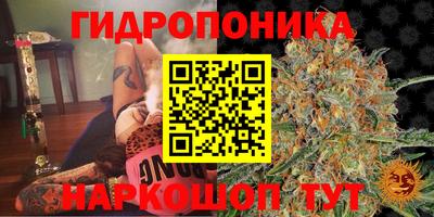 мдпв Ачхой-Мартан