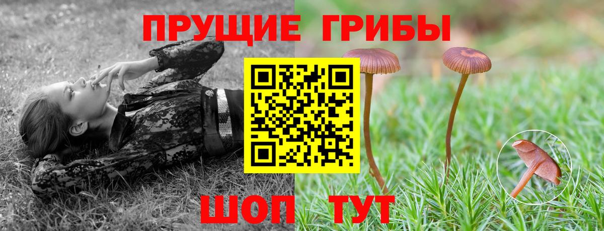Дивногорск  Галлюциногенные грибы ЛСД  где купить наркотик  Вход с VPN 