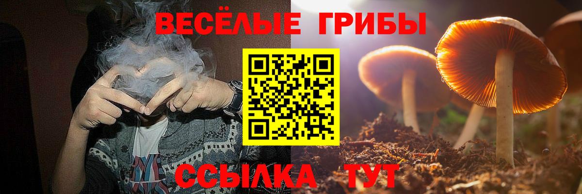 Псилоцибиновые грибы ЛСД Дивногорск